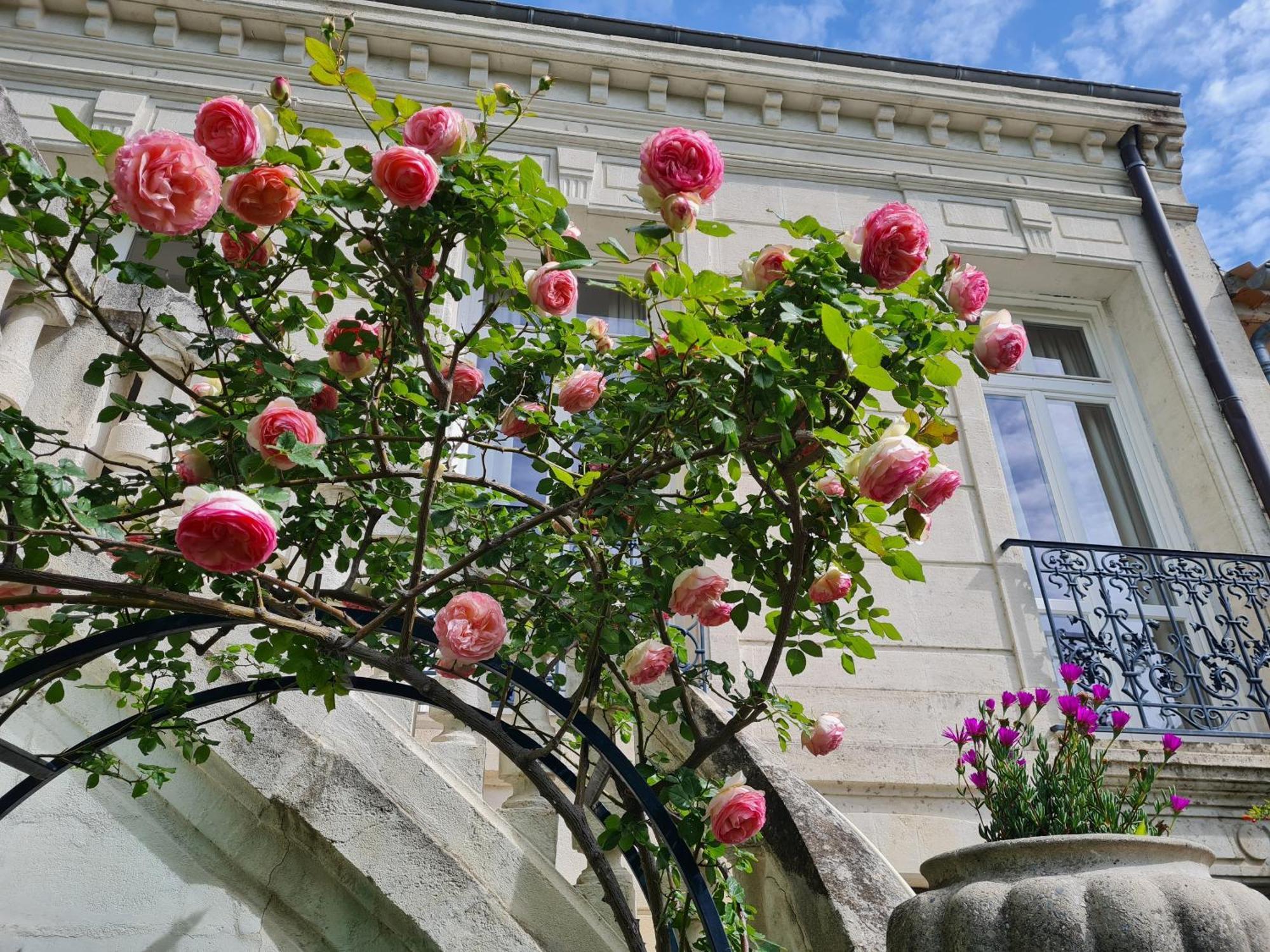 Villa Aigarden Maison D'Hotes Avignon Exterior foto